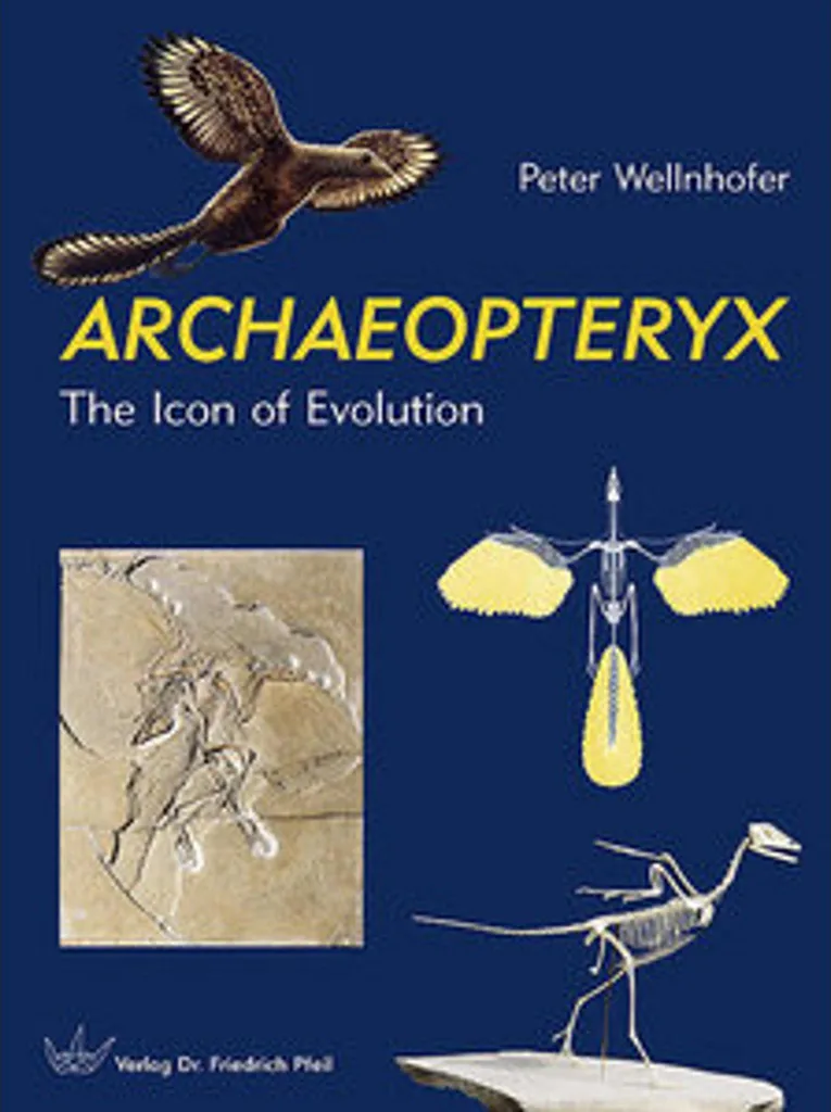 Maquette Archaeopteryx éducative : Le premier oiseau pour passionnés