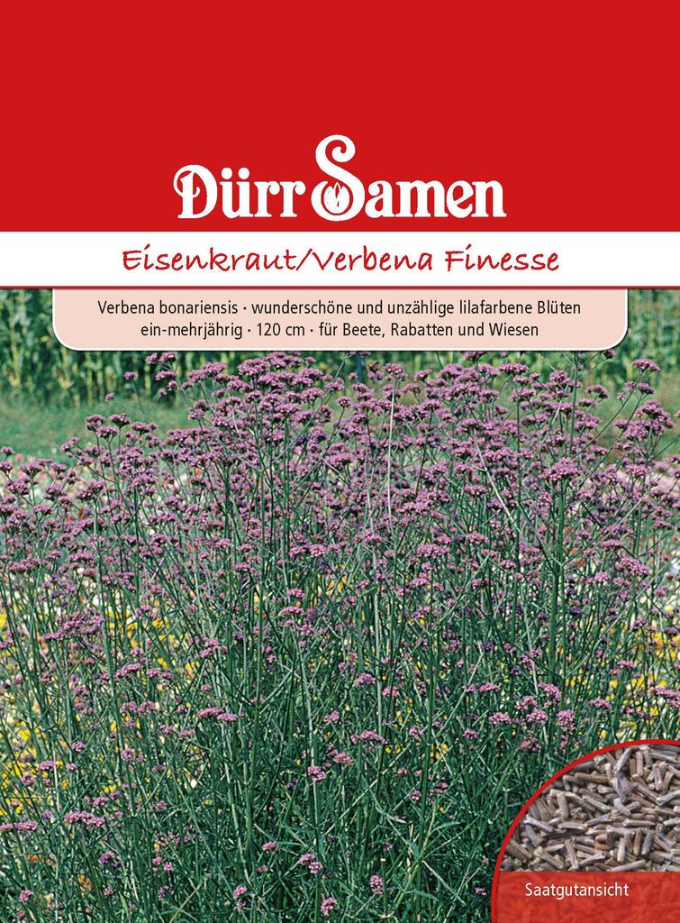 Eisenkraut Verbena Finesse | Eisenkrautsamen von Dürr Samen Produktbild 