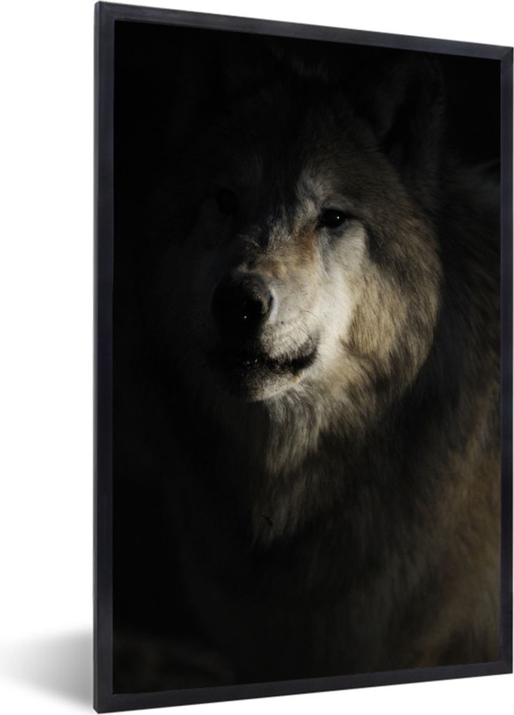 MuchoWow Gerahmtes Poster Wolf - Hell - Dunkel 60x90 cm - Poster mit Schwarzem Bilderrahmen Wandposter Rahmen Foto Bilder - Kunst