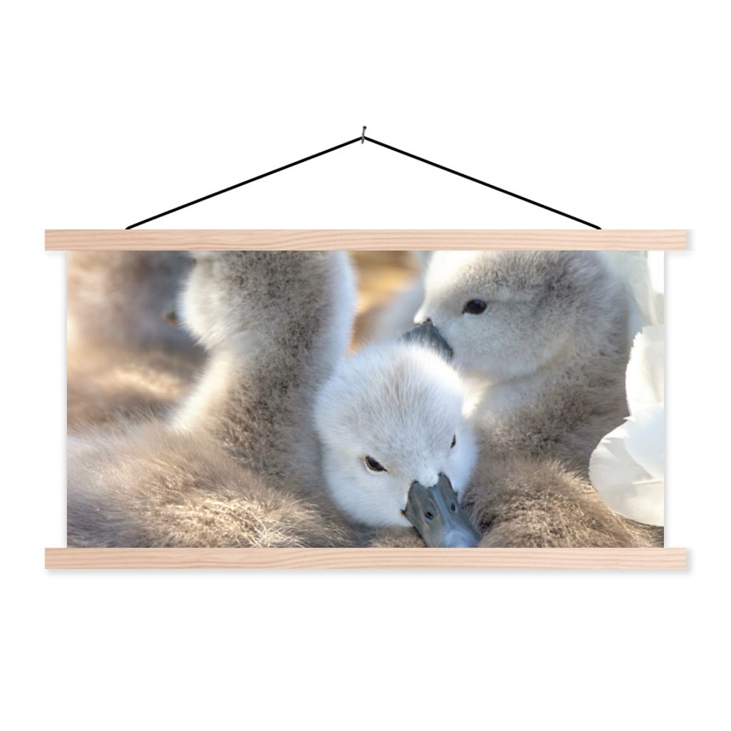 MuchoWow Textilposter Schwäne - Licht - Küken 120x60 cm mit holzfarbenen Rahmen - Klemmleiste