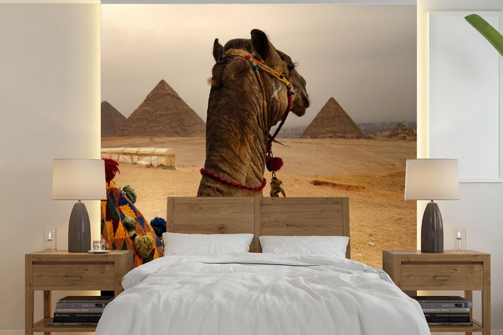 MuchoWow Fototapete für Wohnzimmer oder Schlafzimmer Wandtapete Vinyl Motivtapete Ägypten - Kamel - Pyramide - 280x280 cm - Hintergrundbild