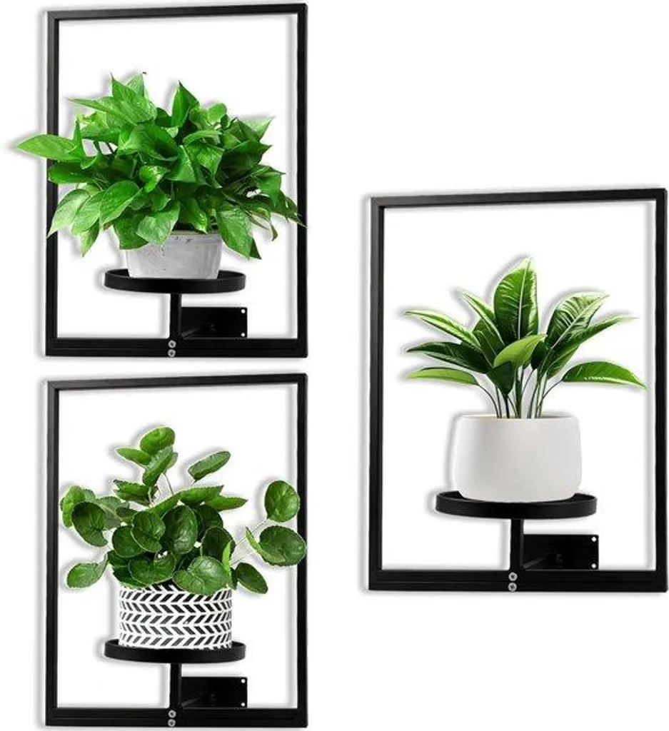 Support de plante pour rebord de fenêtre : gagnez de la place au salon