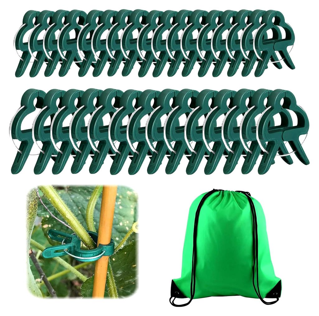 60 Pflanzenklammern - Clips für Kletterpflanzen wie Tomaten, Rosen, Gurken und andere Rankpflanzen, Einfache Rankhilfe für Pflanzen (30 große + ...