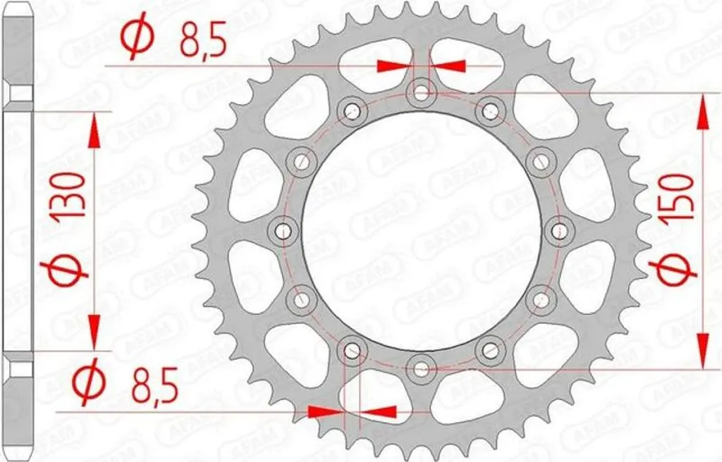 AFAM Pignone Acciaio Standard 40300 - 520 con 10 denti 40300-10
