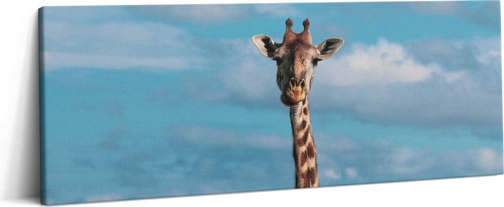 Kopf einer Giraffe gegen den Himmel – Leinwandbild Wandbild – 125x50 cm – Leinwandbilder – Wandbilder – Schlafzimmer – Flur