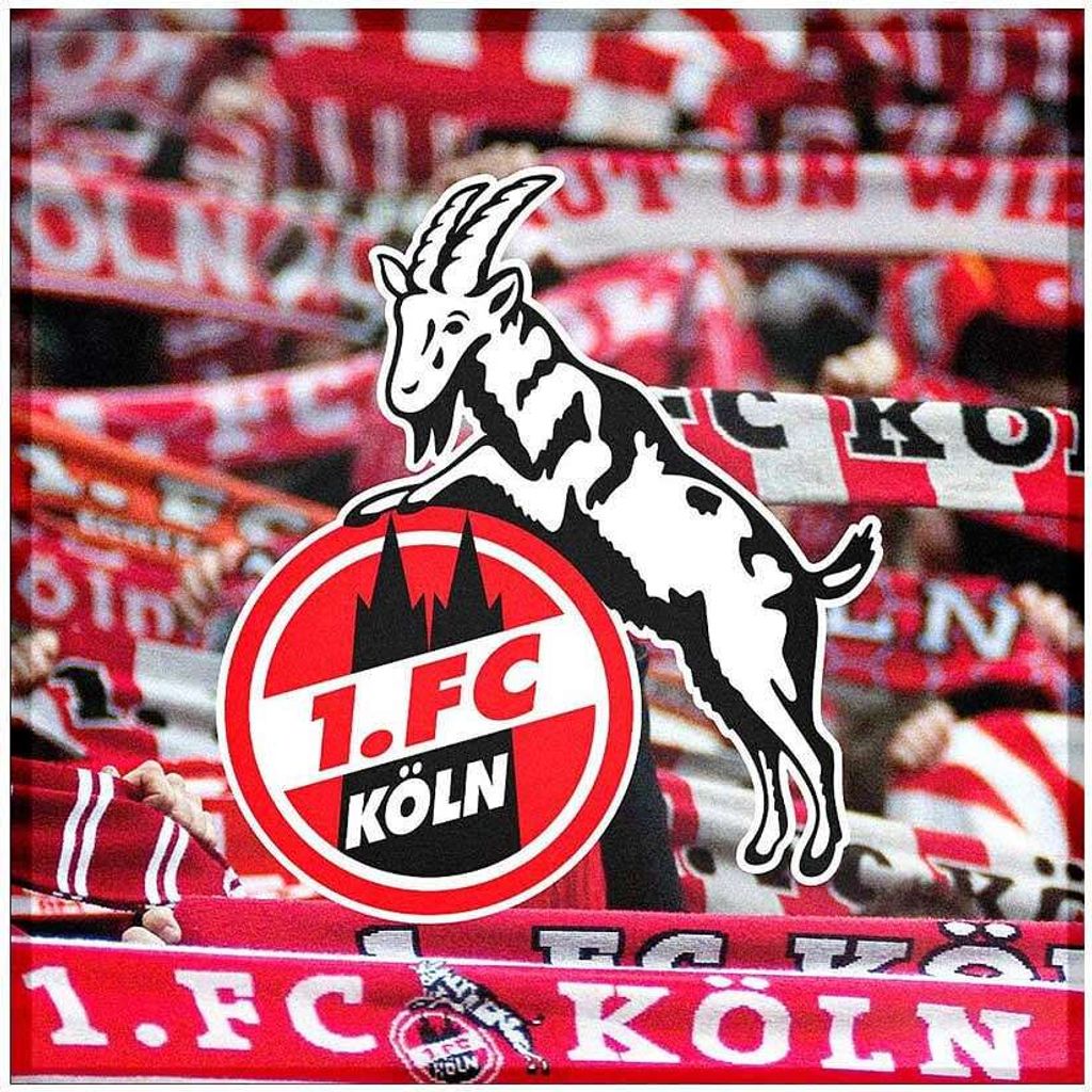 1. FC Köln Austausch-Motiv „Schals"