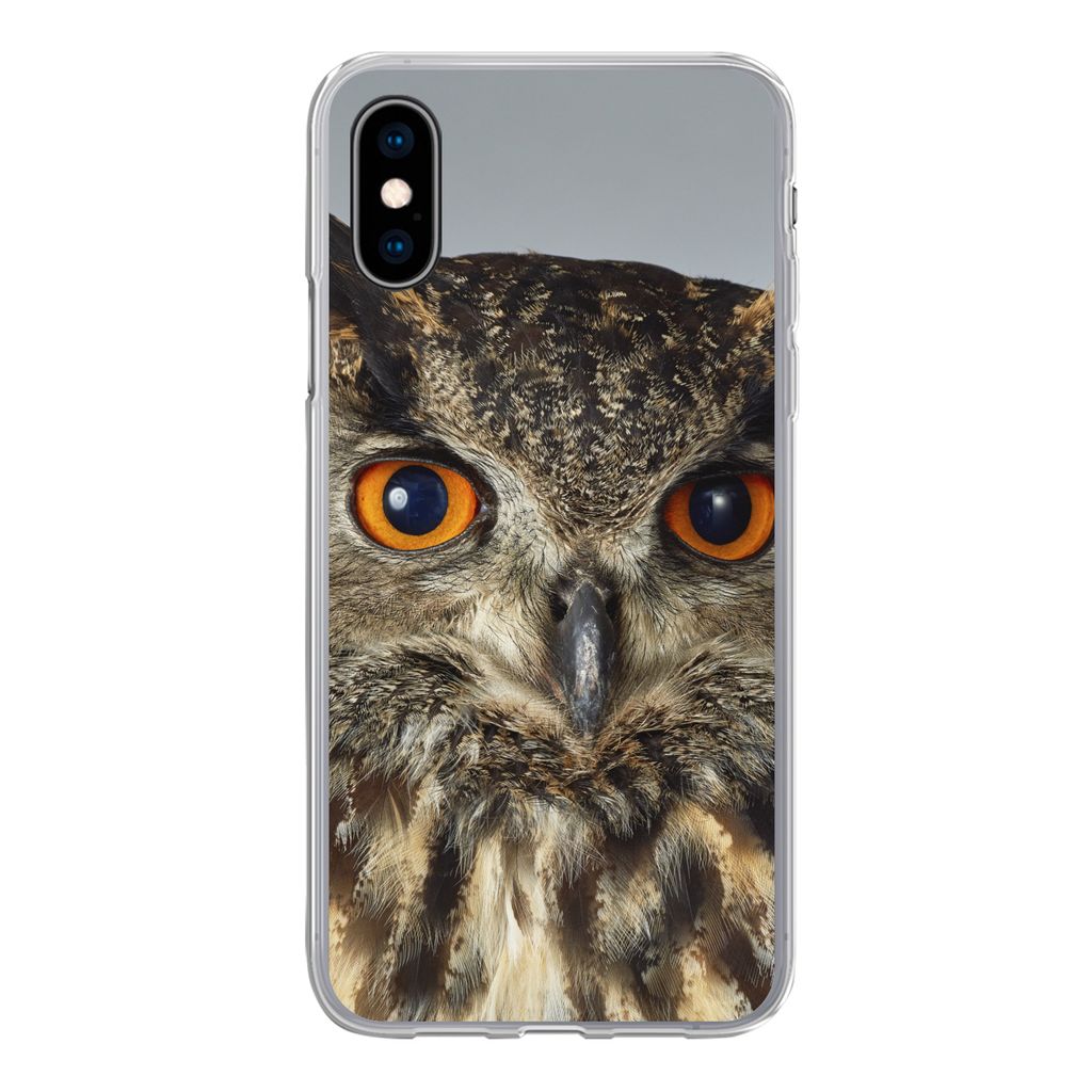 MuchoWow Handyhülle Schutzhülle Hülle für iPhone X Braune Eule mit hellblauem Hintergrund Silikon Softcase Handy Hülle - Handyhülle
