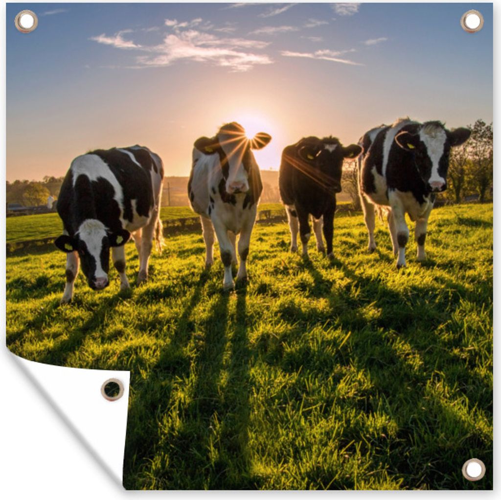MuchoWow 100x100 cm Outdoor-Poster Gartendeko Sichtschutz Garten Poster für den Garten Kuh - Gras - Sonne