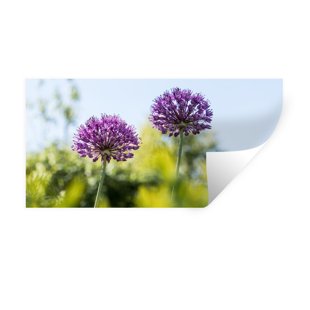 MuchoWow Wandtattoo Wandsticker Wandaufkleber Blumen - Garten - Lila 40x20 cm Selbstklebend und Repositionierbar - Aufkleber