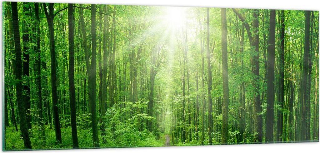 Bilder auf glas - Sonnenstrahlen Wald Sommer - 100x40cm - Glasbilder - Wandbilder - Kunstdruck - zum Aufhängen bereit - Wanddekoration aus Glas - ...