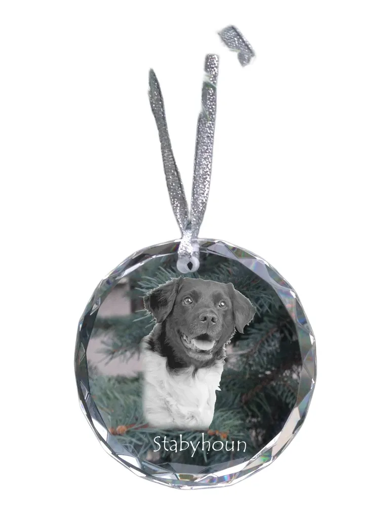 Decorazione Natale Stabyhoun in Vetro Cristallo Art-Dog Personalizzabile