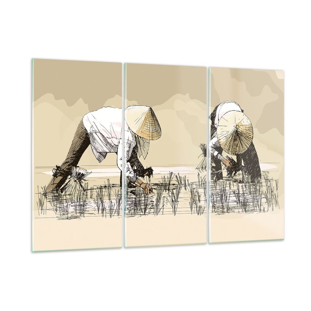 Bilder auf glas - Reis Asien Feld Wasser - 105x70cm - Glasbilder - Wandbilder - Kunstdruck - zum Aufhängen bereit - Wanddekoration aus Glas - Glas...