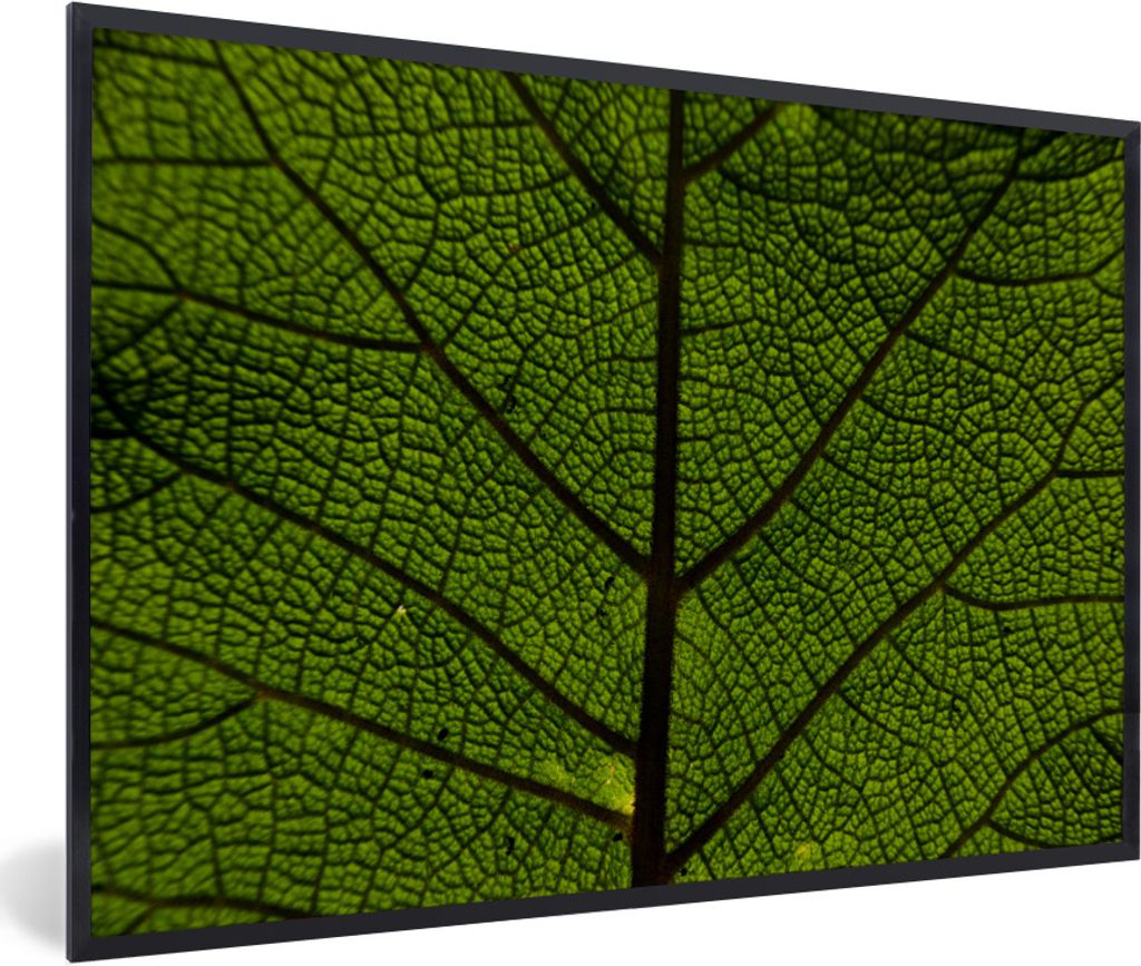 MuchoWow Gerahmtes Poster Blattadern 90x60 cm - Poster mit Schwarzem Bilderrahmen Wandposter Rahmen Foto Bilder - Fotorahmen - Foto-Plakat