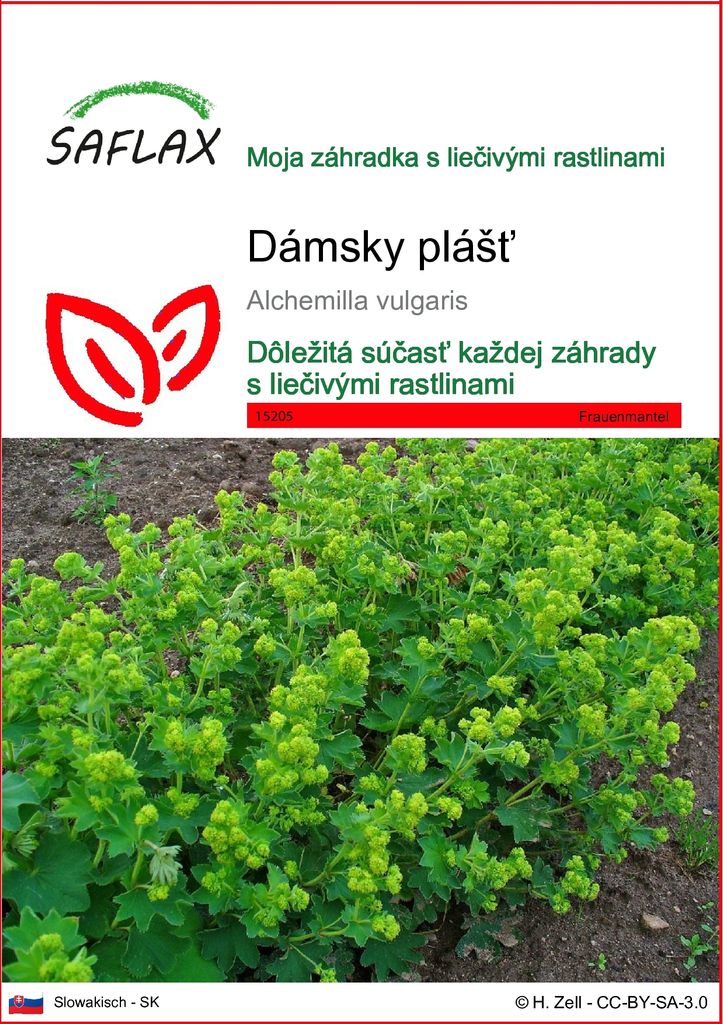 SAFLAX - dámsky plášť - Alchemilla vulgaris - 100 Semená Obrázok produktu 