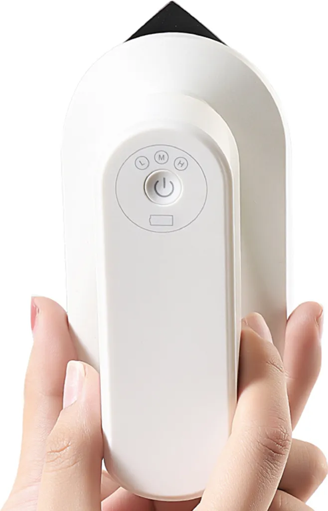 Fer à Repasser Portable pour Voyages et Maison - Sans Fil et rechargeable