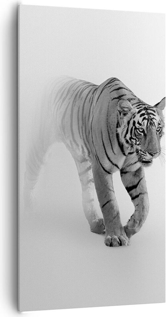 Bild auf Leinwand - Leinwandbild - Einteilig - Tiger Monochrom Porträt - 65x120cm - Wand Bild - Wanddeko - Wandbilder - Leinwanddruck - Bilder - W...