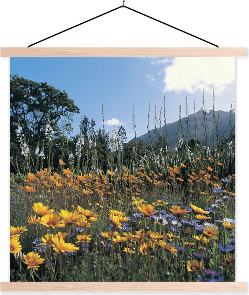 MuchoWow Textilposter Blumen - Natur - Farbe 60x60 cm mit holzfarbenen Rahmen - Wanddekoration