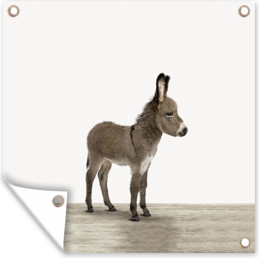MuchoWow 50x50 cm Outdoor-Poster Gartendeko Sichtschutz Garten Poster für den Garten Tiere - Esel - Grau
