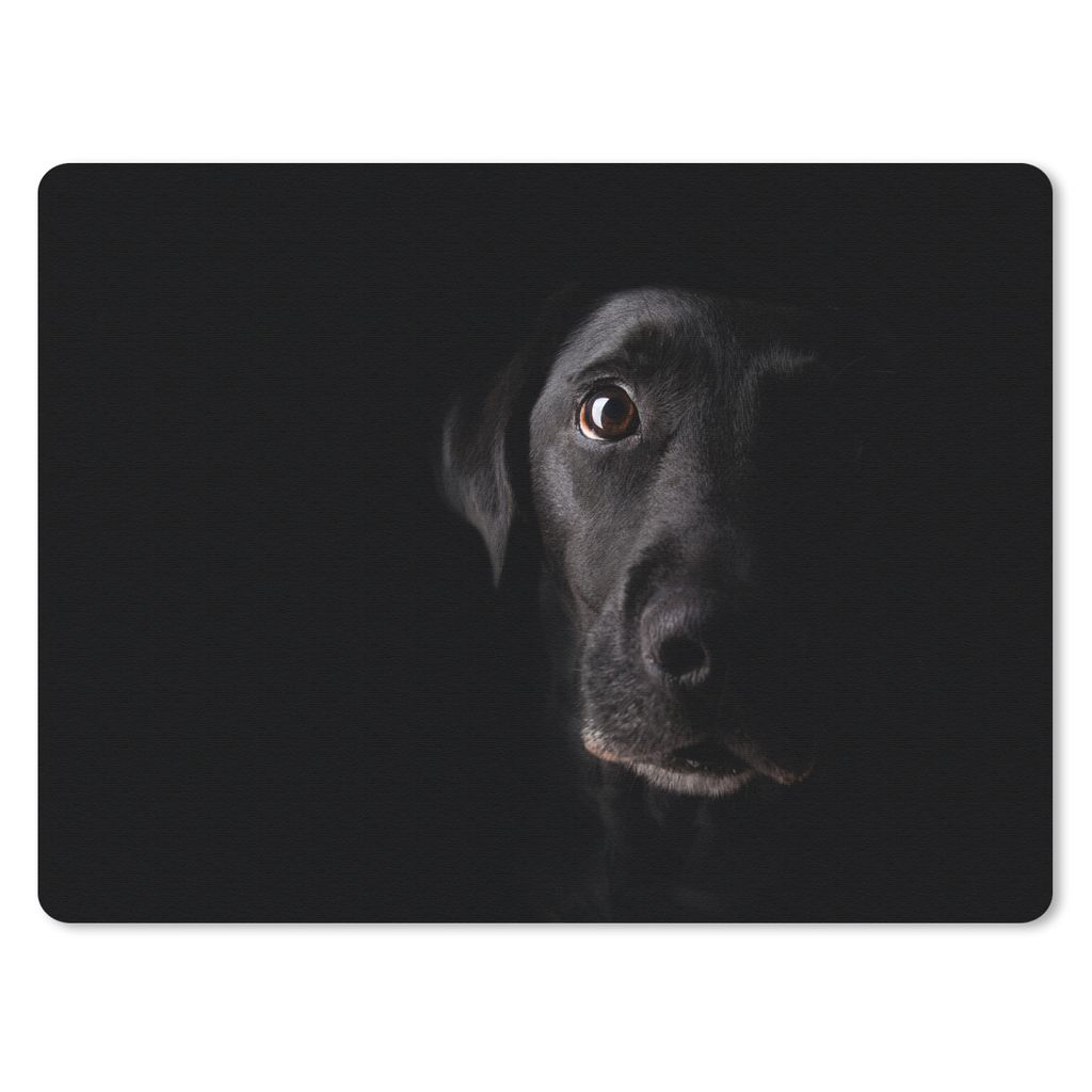 MuchoWow Mauspad Mousepad Ein schwarzer Labrador Retriever auf schwarzem Hintergrund 40x30 cm - Mousepads - Maus Mat - Pad - Mausunterlage - Anti...