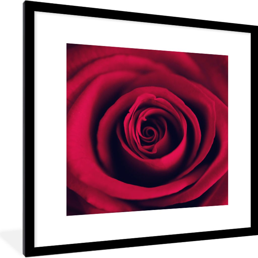 MuchoWow Gerahmtes Poster Rosen - Rot - Detail 40x40 cm - Poster mit Schwarzem Bilderrahmen Wandposter Rahmen Foto Bilder - Poster - Plakat im Ra...