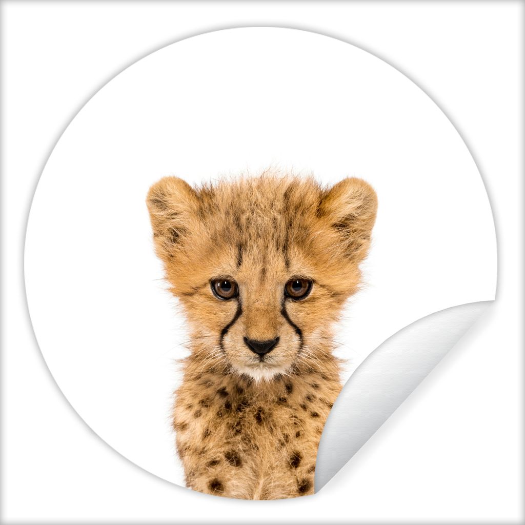 MuchoWow Runde Wandtattoo - Wandsticker Tapete Aufkleber Tiere - Kinder - Leopard - Junge - Mädchen Ø 30 cm Selbstklebend und Repositionierbar ...