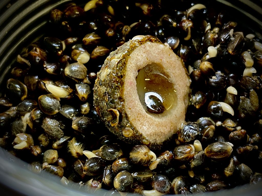 LK Baits Nutrigo Balanc 200ml Příchuť Garlic Liver: Průměr Obrázek produktu 