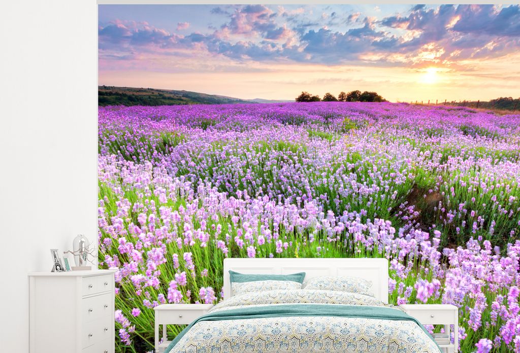 MuchoWow Fototapete für Wohnzimmer oder Schlafzimmer Wandtapete Vinyl Motivtapete Blumen - Lavendel - Lila - Himmel - Sonnenuntergang - Wiese - ...