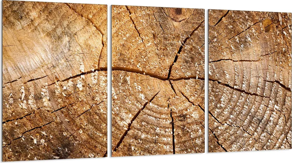 Piastre Copripiano Cottura 3 Pezzi 30x52 Vetro Ceramica Effetto Legno