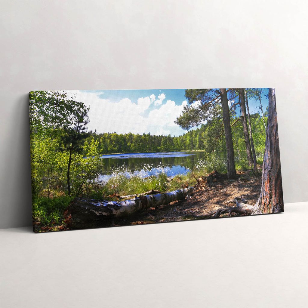 Blick auf einen See im Wald – Leinwandbild Wandbild – 100x50 cm – Leinwandbilder – Wandbilder – Schlafzimmer – Flur