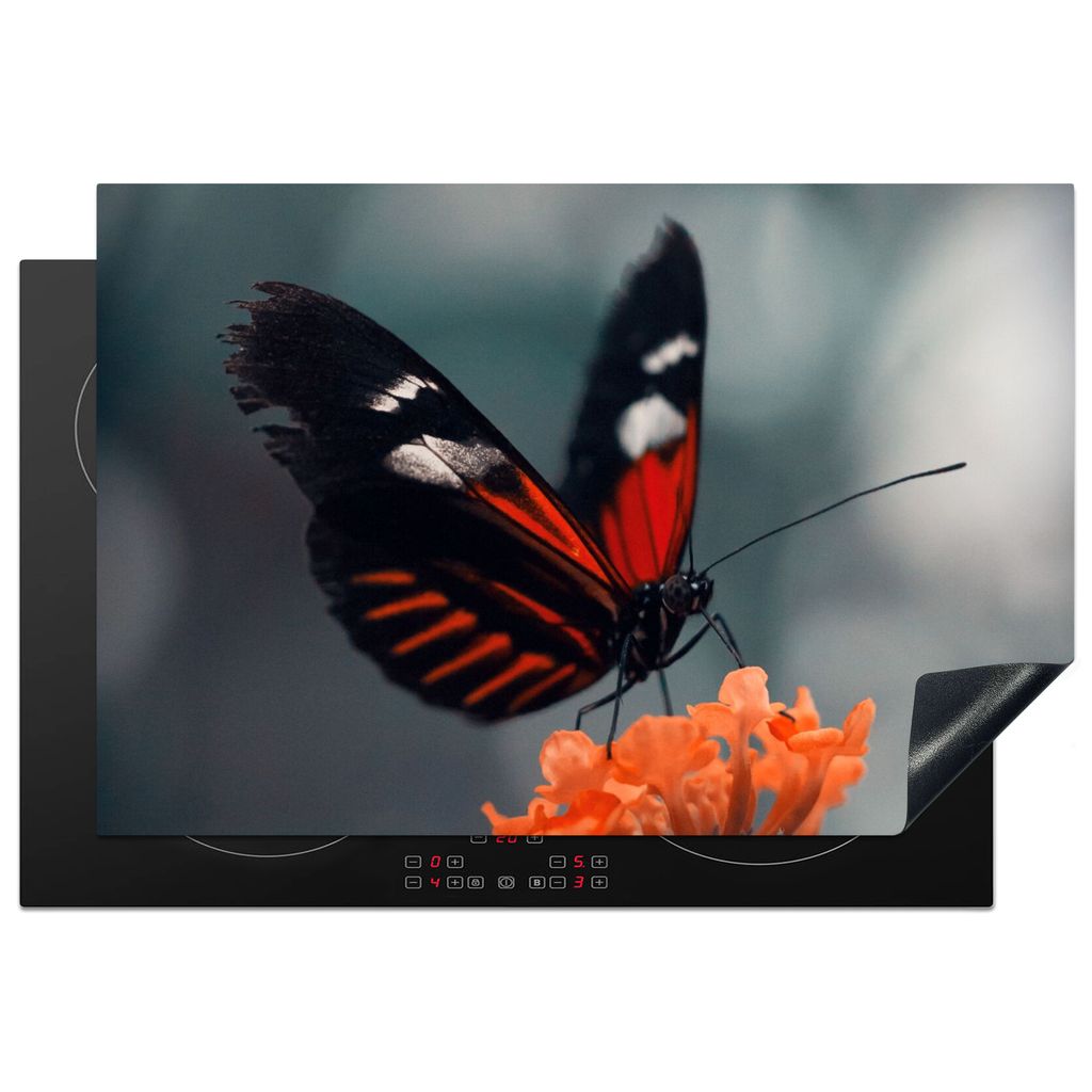 KitchenYeah Herdabdeckplatte Schmetterling - Blume - Insekt , 78x52cm, Küche Deko, Glaskeramikkochfeld Herdabdeckung, Abdeckplatte fùr Kochfeld