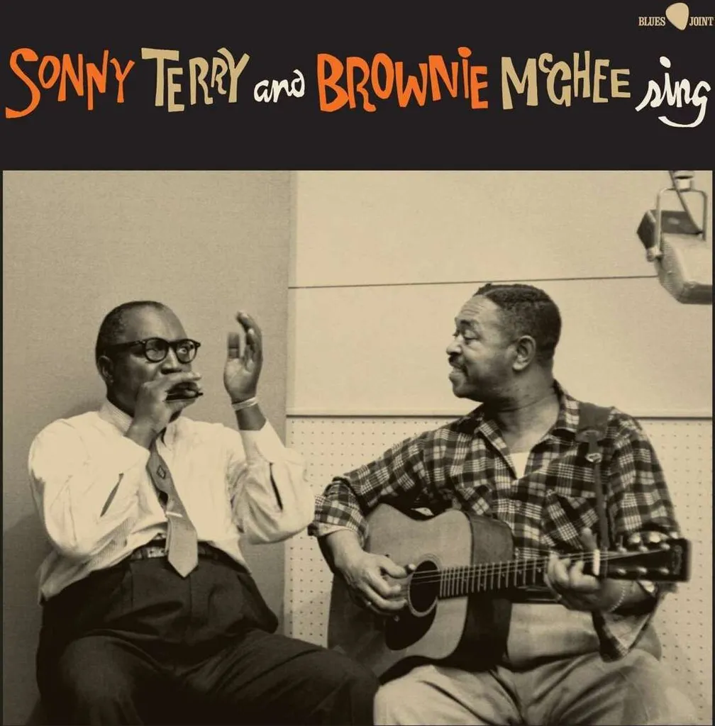 Vinyle Sonny Terry & Brownie McGhee : fini les craquements avec le 180g