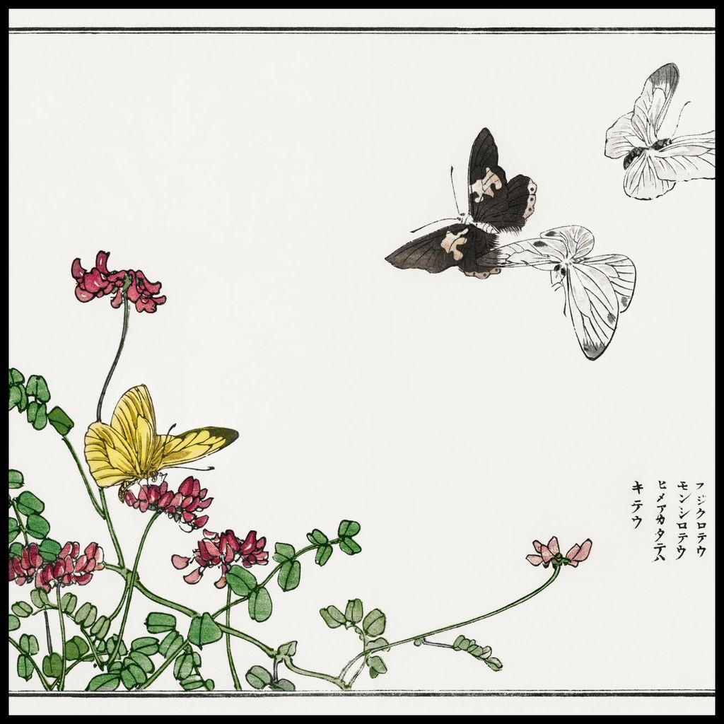 Plakat 100x100cm Schmetterlinge und Blumen Morimoto Toko Japanisch Vintage für das Wohnzimmer