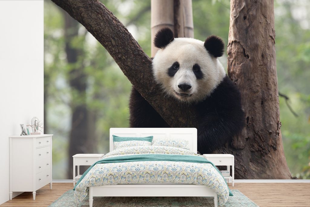 MuchoWow Fototapete für Wohnzimmer oder Schlafzimmer Wandtapete Vinyl Motivtapete Panda - Baum - Wald - 330x220 cm - Fototapeten