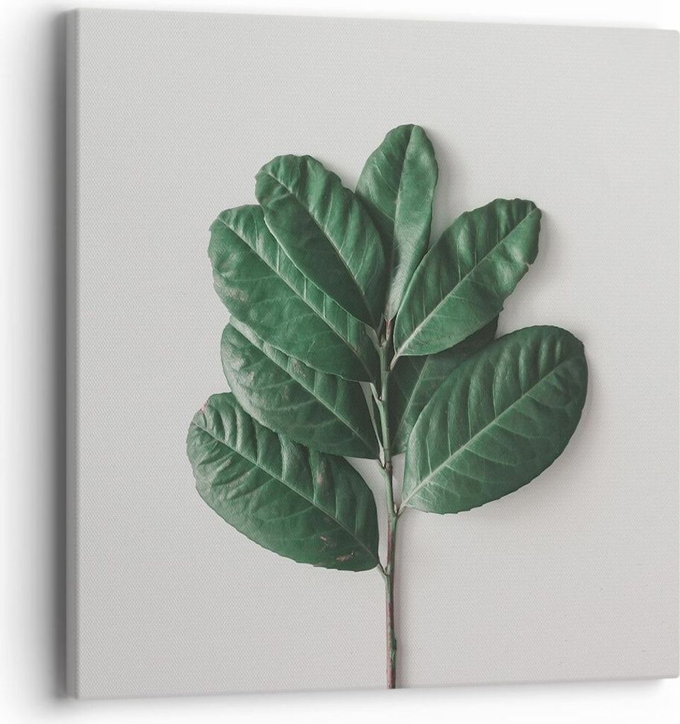 Bild auf Leinwand - Leinwandbild - Einteilig - Blätter Pflanzen Botanik - 40x40cm - Wand Bild - Wanddeko - Wandbilder - Leinwanddruck - Bilder - W...