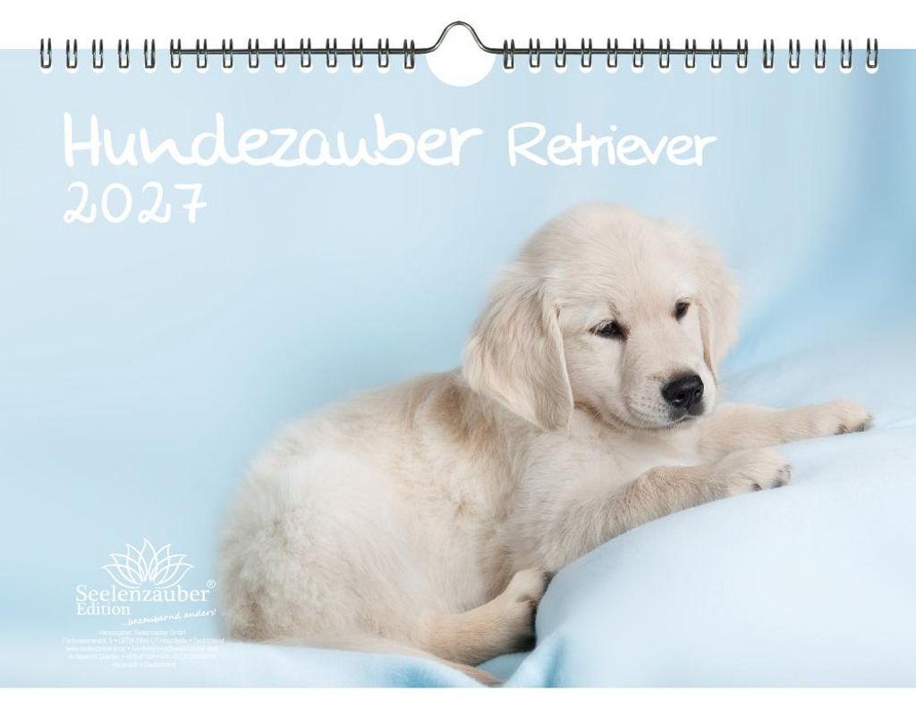 Hundezauber Retriever DIN A4 Kalender für 2027 Welpen und Hunde - Seelenzauber