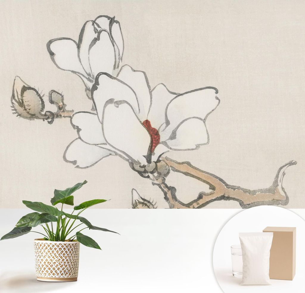 Fototapete - 152x104 cm - Tapete - Wandtapete - Wandbilder - Dekofolie - Tapete Folie - Wand - Dekoration - Wohnzimmer - Zarte Magnolien