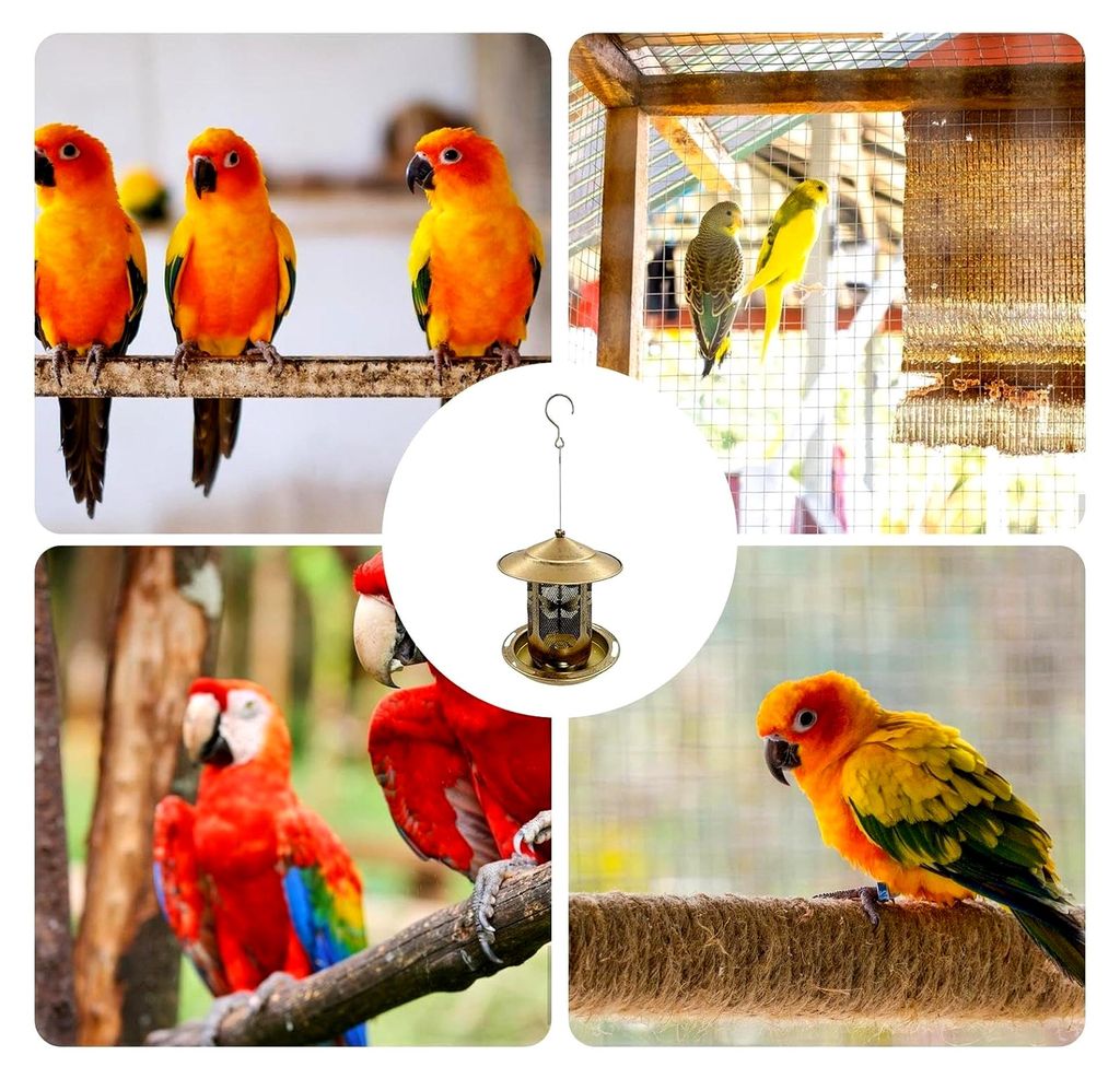 Vogelfutterstation für Fenster | Futterspender mit eichhörnchensicherem und abnehmbarem Boden | Futterautomat für Kolibris | Für Balkon, Fenste...