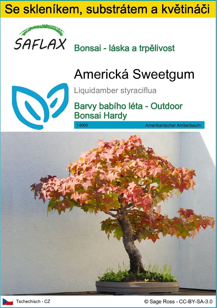 SAFLAX Kultivační sada - Americká Sweetgum - Liquidamber Obrázek produktu 