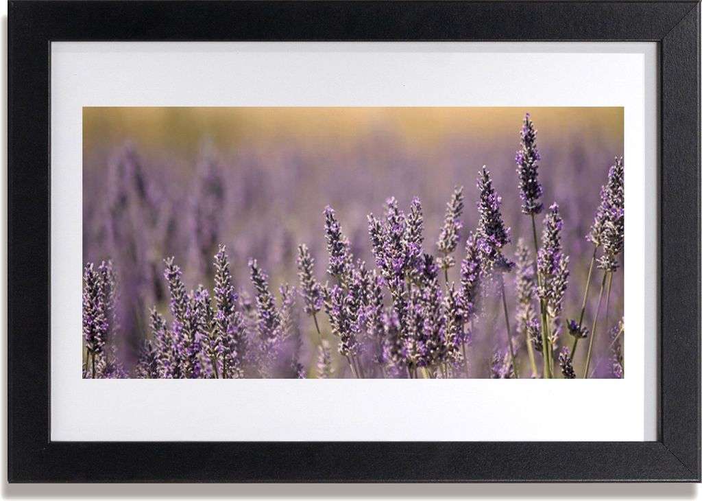 Bild 30x20 MDF-Rahmen Wandkunst Blumen Pflanzen Natur