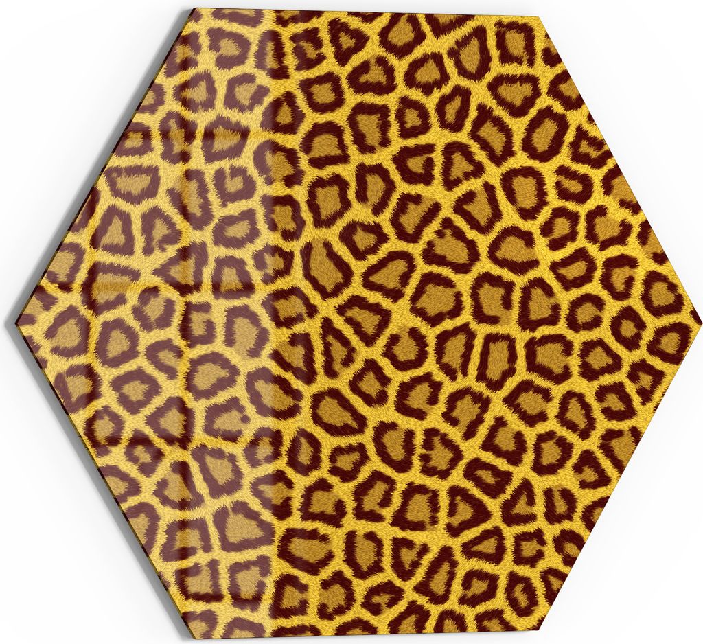 DEQORI Glasbild Echtglas 55x48 cm 'Exotische Zeitlosigkeit' Wandbild Bild modern Deko