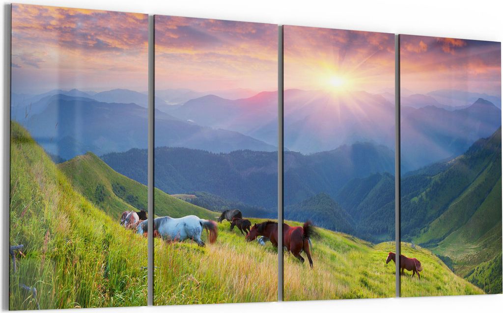 DEQORI Glasbild Echtglas 4x30x60 cm 'Wildpferde in den Bergen' Wandbilder XXL groß