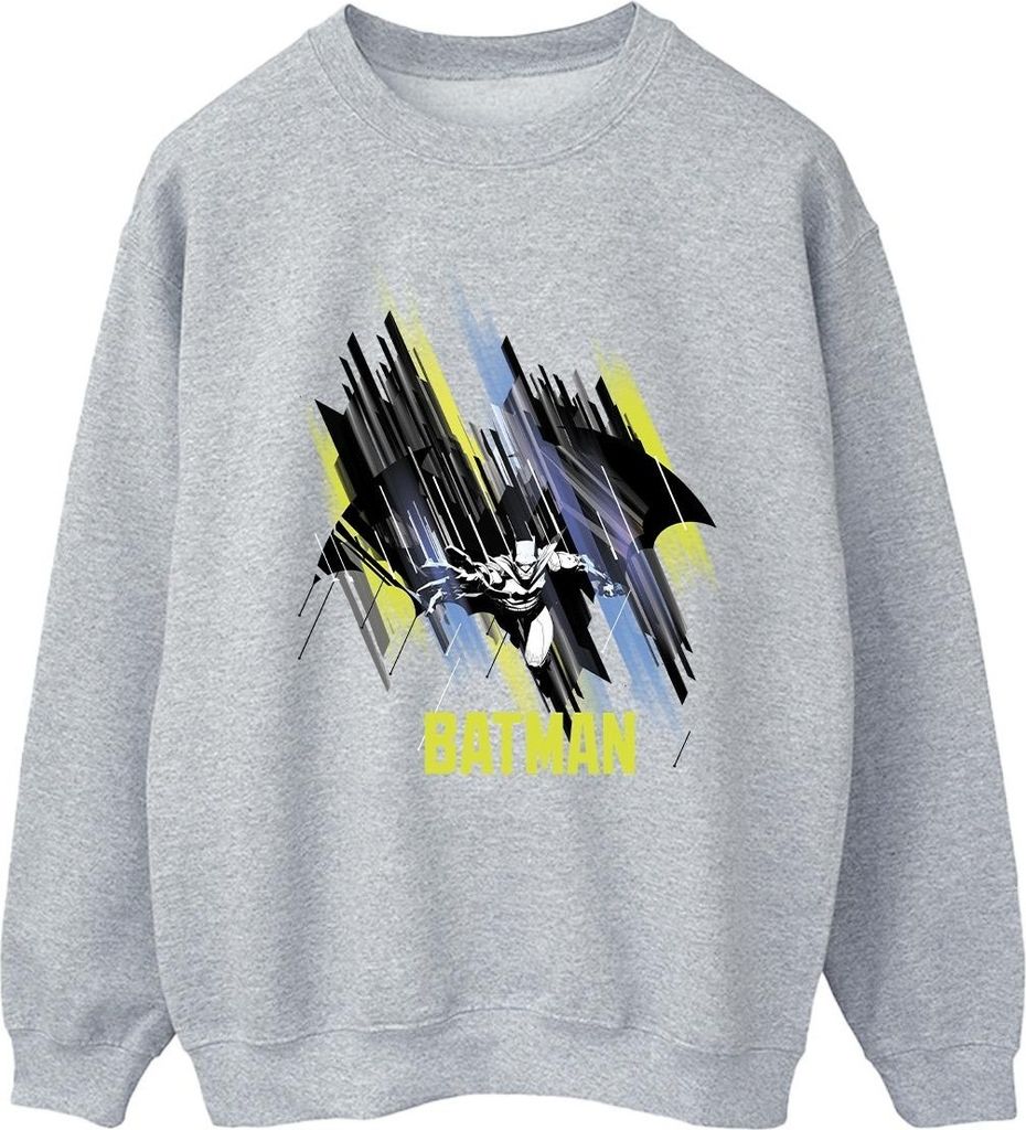 DC Comics - Sweatshirt für Herren BI48842 (L) (Grau)