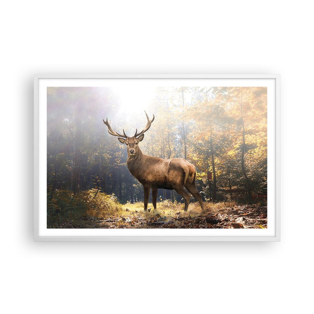 Gerahmtes Poster - Weißer Rahmen - Licht Hirsch Wald - 91,5x61 cm - Wand Bild - Wanddeko - Wandbilder - Kunstposter - Wandposter - Bilderrahmen - ...