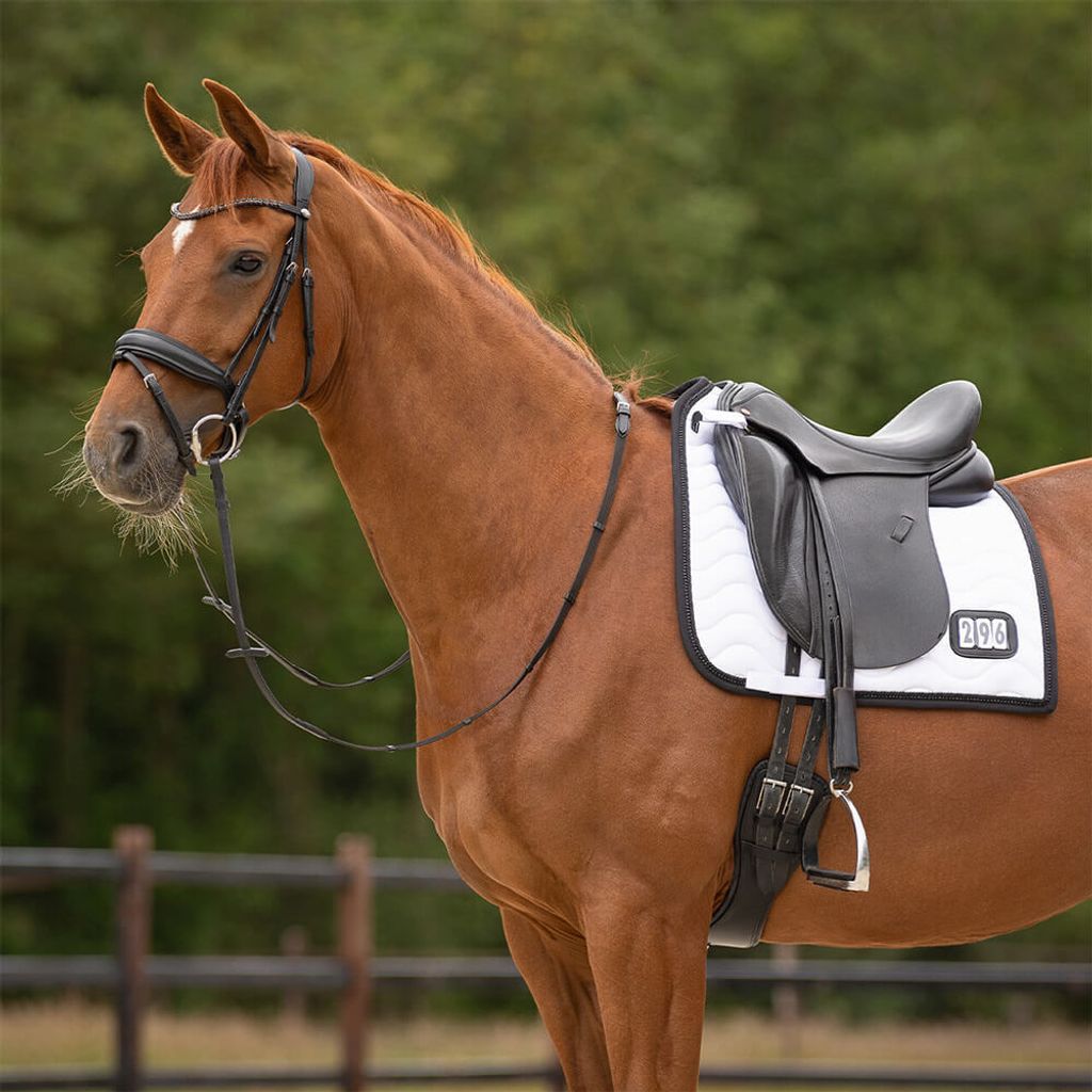 QHP Schabracke Nummer, Farbe:Schwarz/Weiß, Größe:Dressur Pony
