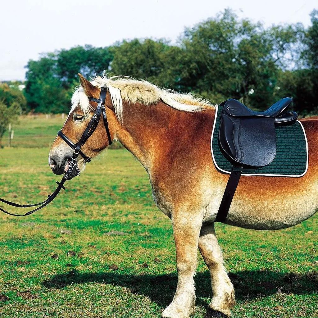 Norton Equestrian Club Extra Full General Use Saddle Green Zdjęcie produktu 