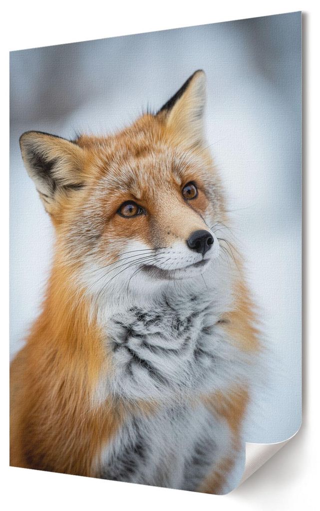 Winterfuchs- Kunstdruck A3 (29x42 cm) - Modern, rustikal- Wandbild für Wohnzimmer Schlafzimmer & Flur, Modernes Poster Wanddeko, Ungerahmt