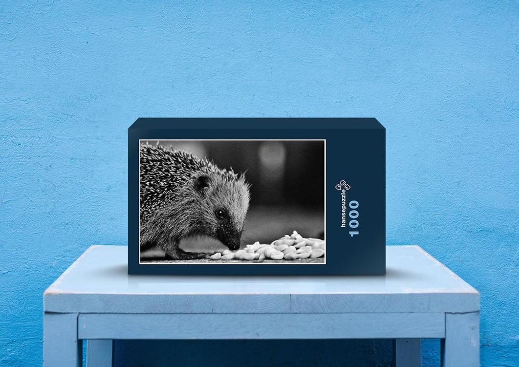 hansepuzzle 29576 - Jungigel Puzzle, 1000 Teile, Tierwelt, 60,0 x 46,0cm mit hochwertiger Aufbewahrung, Kartonbox und wiederverschließbarem Beutel