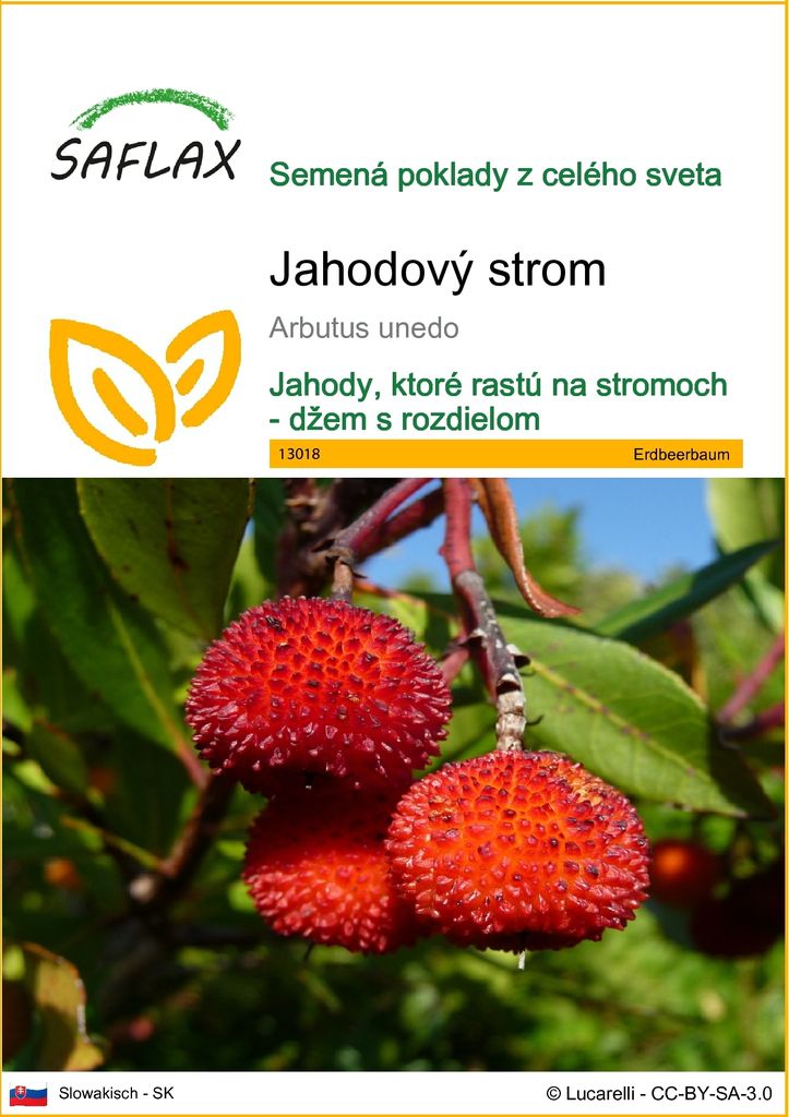 SAFLAX - jahodový strom - Arbutus unedo - 50 Semená Obrázok produktu 