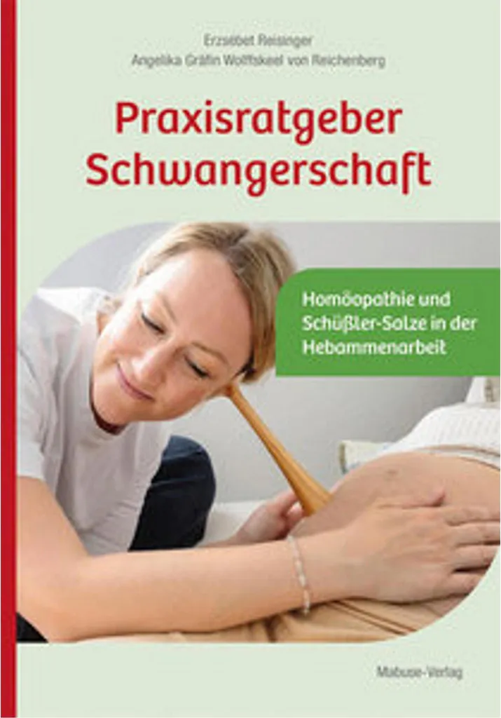 Livre de grossesse pratique Praxisratgeber Schwangerschaft illustré