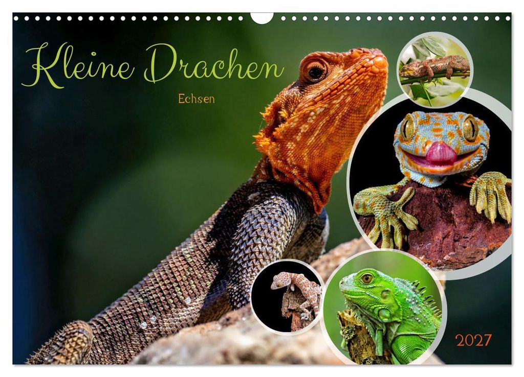 Kleine Drachen - Echsen (Wandkalender 2027 DIN A3 quer), CALVENDO Monatskalender